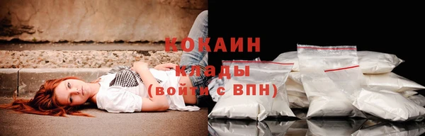 таблы Новозыбков