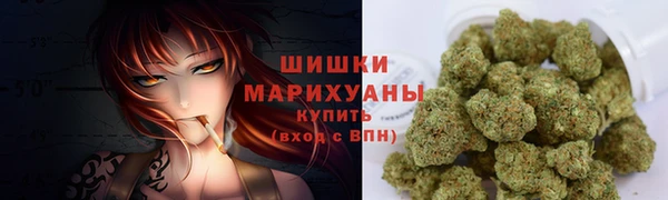 винт Нея