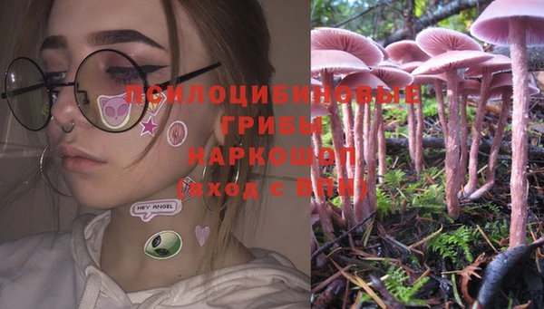 индика Бикин
