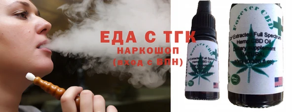 индика Бикин