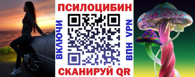 мориарти Telegram  Власиха  Галлюциногенные грибы Psilocybine cubensis 